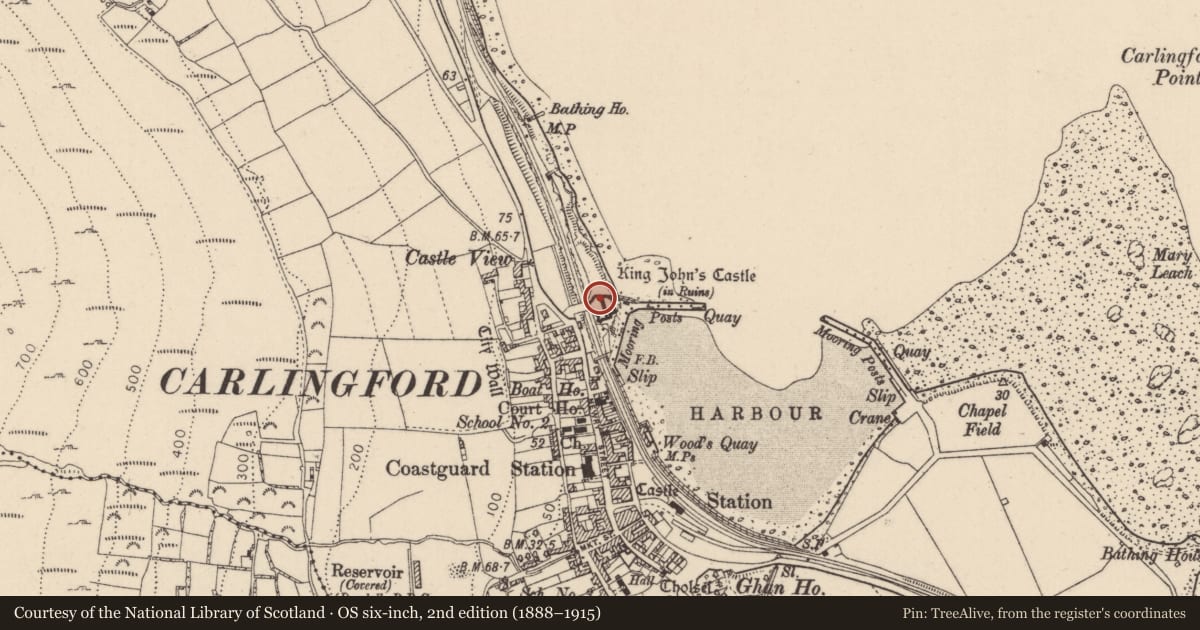 Ordnance Survey six-inch map, 2nd edition (1888–1915) covering the location of Souterrain, Liberties of Carlingford, County Louth, with a pin at the register's coordinates