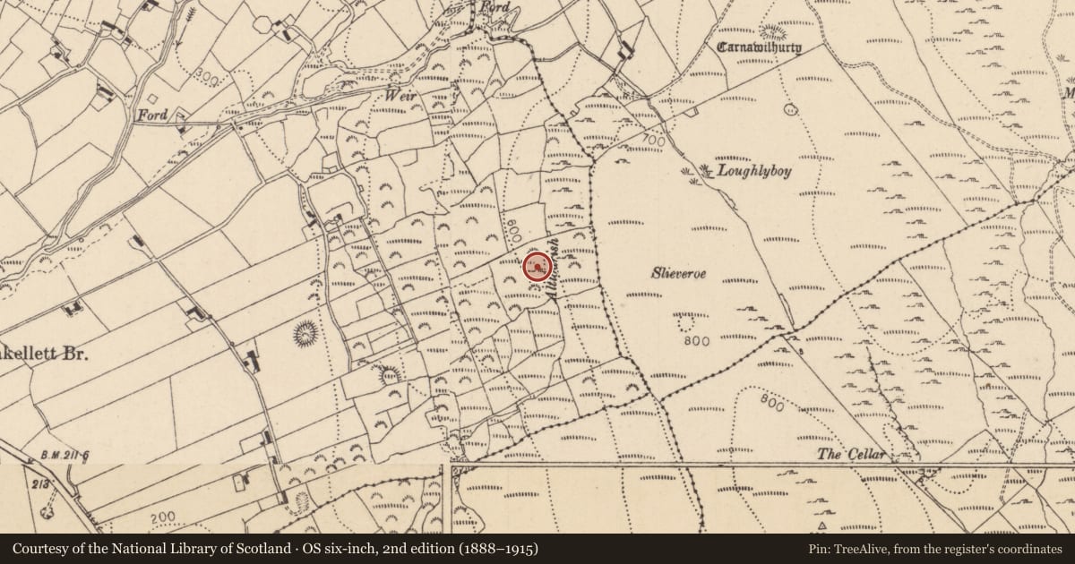 Ordnance Survey six-inch map, 2nd edition (1888–1915) covering the location of Rock art, Ballymakellett, County Louth, with a pin at the register's coordinates