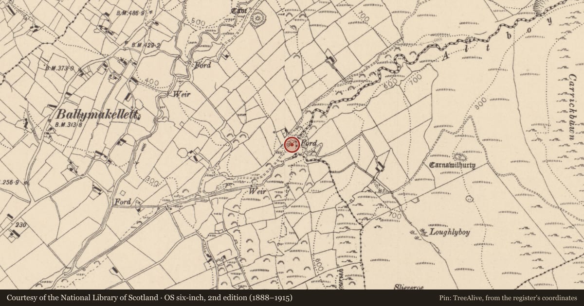 Ordnance Survey six-inch map, 2nd edition (1888–1915) covering the location of Cross-inscribed stone, Ballymakellett, County Louth, with a pin at the register's coordinates