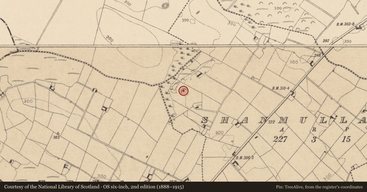 Ordnance Survey six-inch map, 2nd edition (1888–1915) covering the location of Souterrain, Shanmullagh, County Louth, with a pin at the register's coordinates