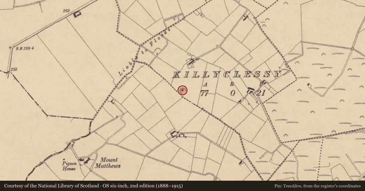 Ordnance Survey six-inch map, 2nd edition (1888–1915) covering the location of Ringfort - rath, Killyclessy, County Louth, with a pin at the register's coordinates