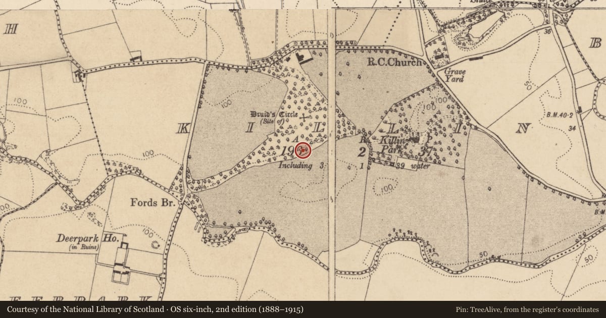 Ordnance Survey six-inch map, 2nd edition (1888–1915) covering the location of Megalithic tomb - unclassified, Killin, County Louth, with a pin at the register's coordinates