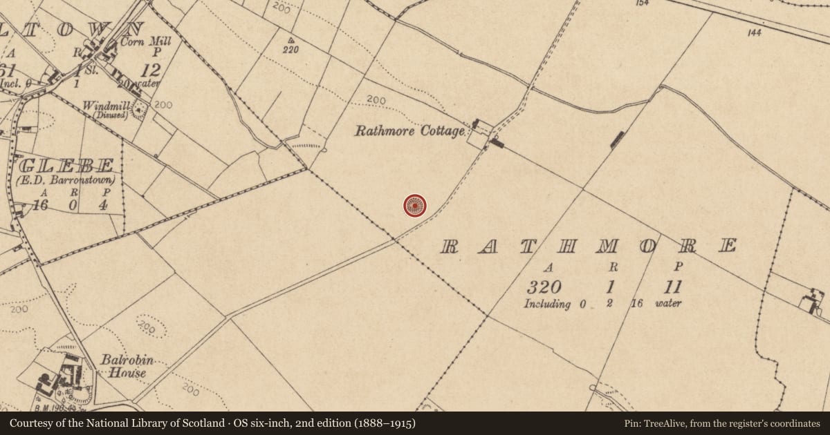 Ordnance Survey six-inch map, 2nd edition (1888–1915) covering the location of Souterrain, Rathmore, County Louth, with a pin at the register's coordinates