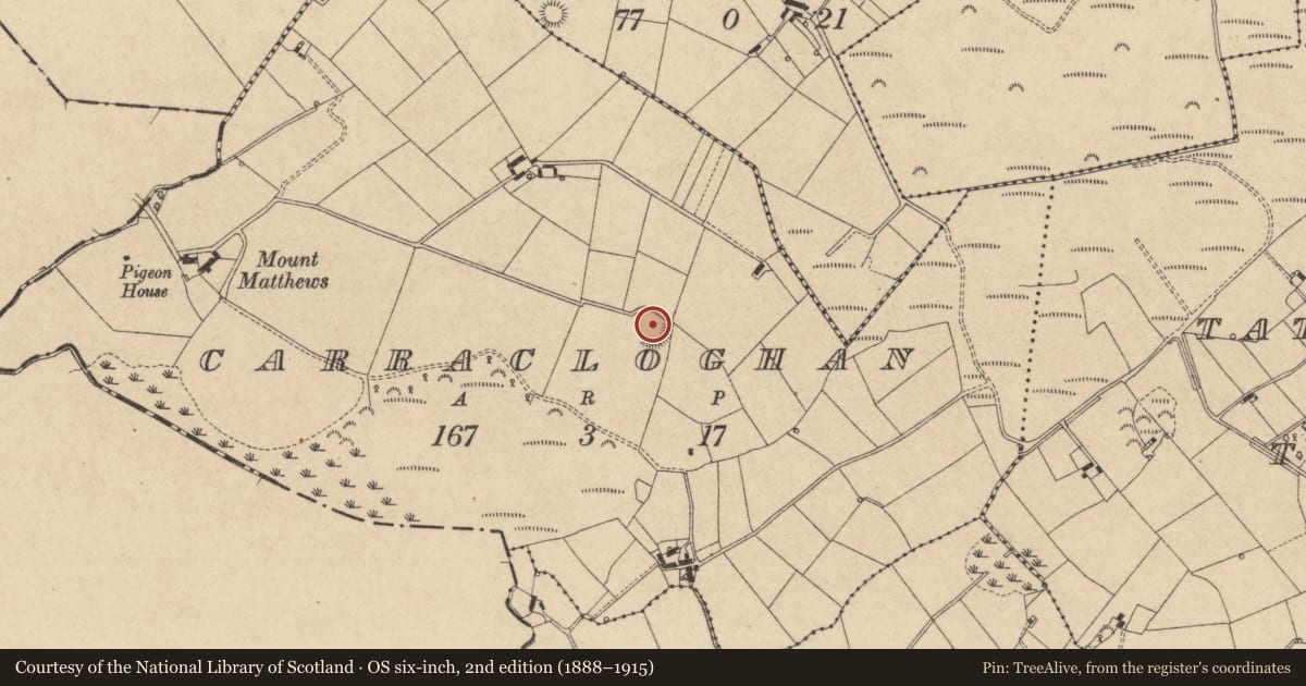 Ordnance Survey six-inch map, 2nd edition (1888–1915) covering the location of Ringfort - rath, Carracloghan, County Louth, with a pin at the register's coordinates