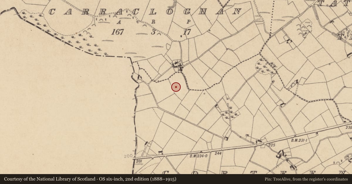 Ordnance Survey six-inch map, 2nd edition (1888–1915) covering the location of Pit-burial, Gorteen, County Louth, with a pin at the register's coordinates