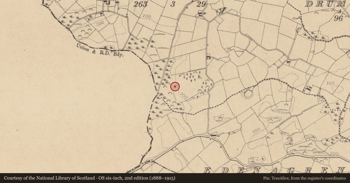 Ordnance Survey six-inch map, 2nd edition (1888–1915) covering the location of Souterrain, Gorteen, County Louth, with a pin at the register's coordinates