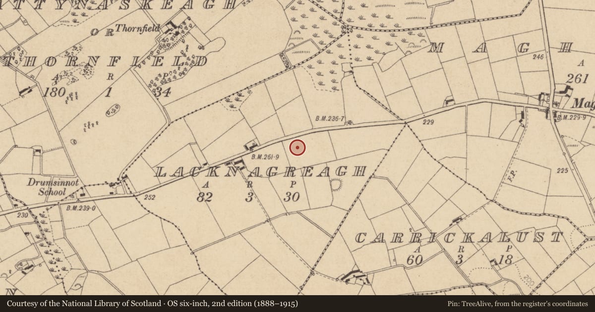 Ordnance Survey six-inch map, 2nd edition (1888–1915) covering the location of Souterrain, Lacknagreagh, County Louth, with a pin at the register's coordinates