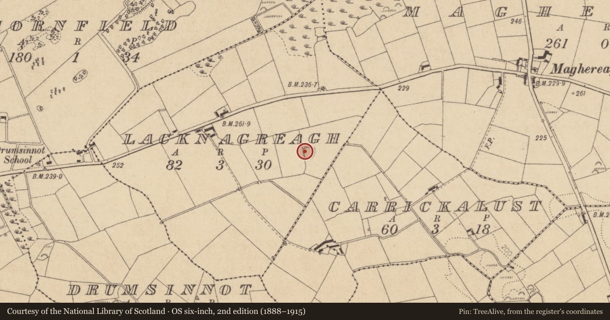 Ordnance Survey six-inch map, 2nd edition (1888–1915) covering the location of Ringfort - rath, Lacknagreagh, County Louth, with a pin at the register's coordinates
