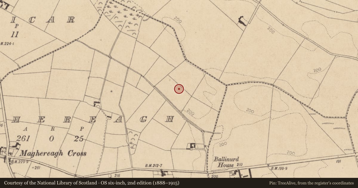 Ordnance Survey six-inch map, 2nd edition (1888–1915) covering the location of Earthwork, Maghereagh, County Louth, with a pin at the register's coordinates