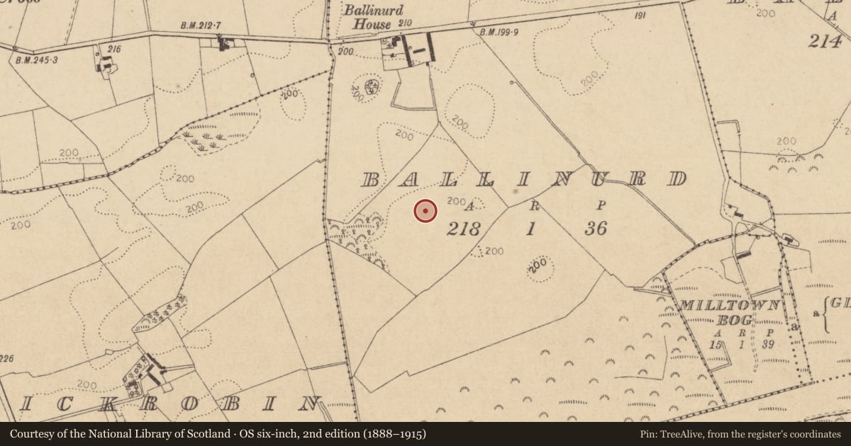 Ordnance Survey six-inch map, 2nd edition (1888–1915) covering the location of Souterrain, Ballinurd, County Louth, with a pin at the register's coordinates