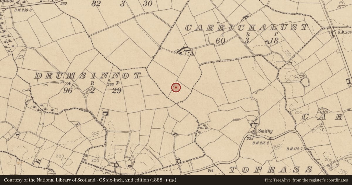 Ordnance Survey six-inch map, 2nd edition (1888–1915) covering the location of Souterrain, Carrickalust, County Louth, with a pin at the register's coordinates