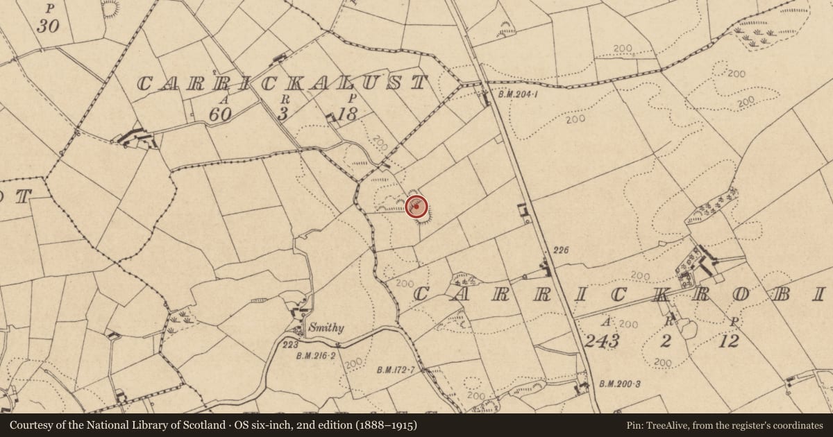 Ordnance Survey six-inch map, 2nd edition (1888–1915) covering the location of Hut site, Carrickrobin, County Louth, with a pin at the register's coordinates