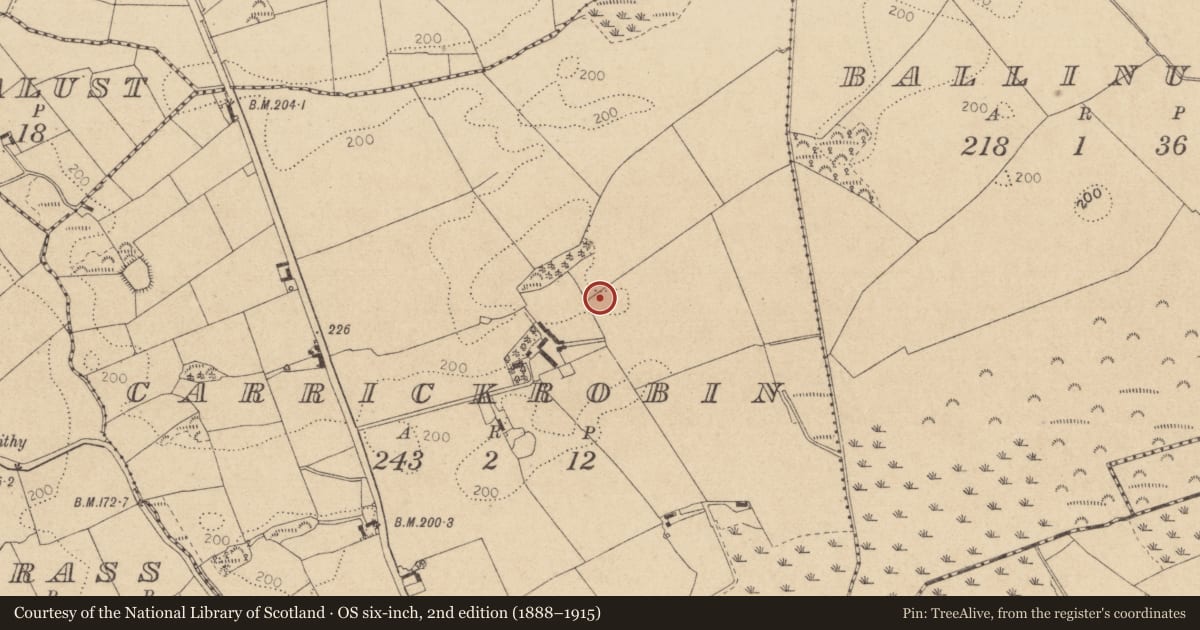 Ordnance Survey six-inch map, 2nd edition (1888–1915) covering the location of Souterrain, Carrickrobin, County Louth, with a pin at the register's coordinates