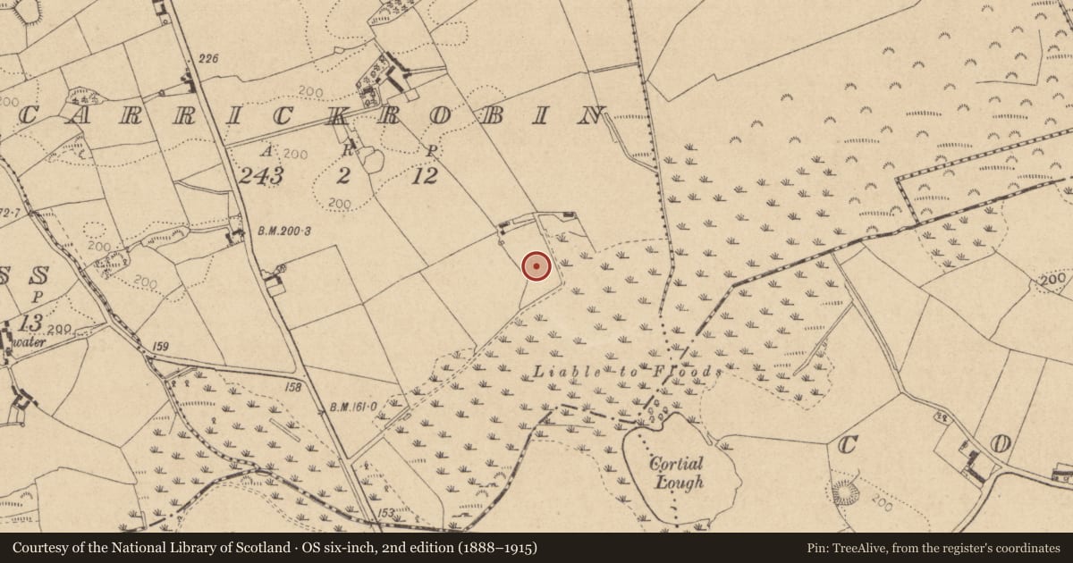 Ordnance Survey six-inch map, 2nd edition (1888–1915) covering the location of Rock art, Carrickrobin, County Louth, with a pin at the register's coordinates