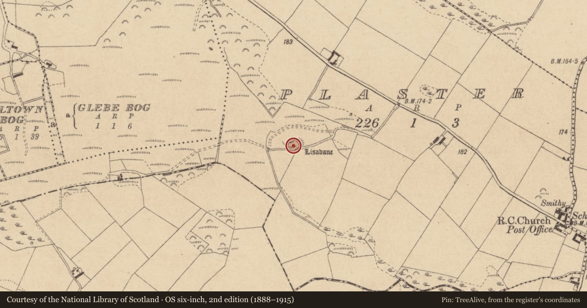 Ordnance Survey six-inch map, 2nd edition (1888–1915) covering the location of Hut site, Plaster (Dundalk Upr by, County Louth, with a pin at the register's coordinates