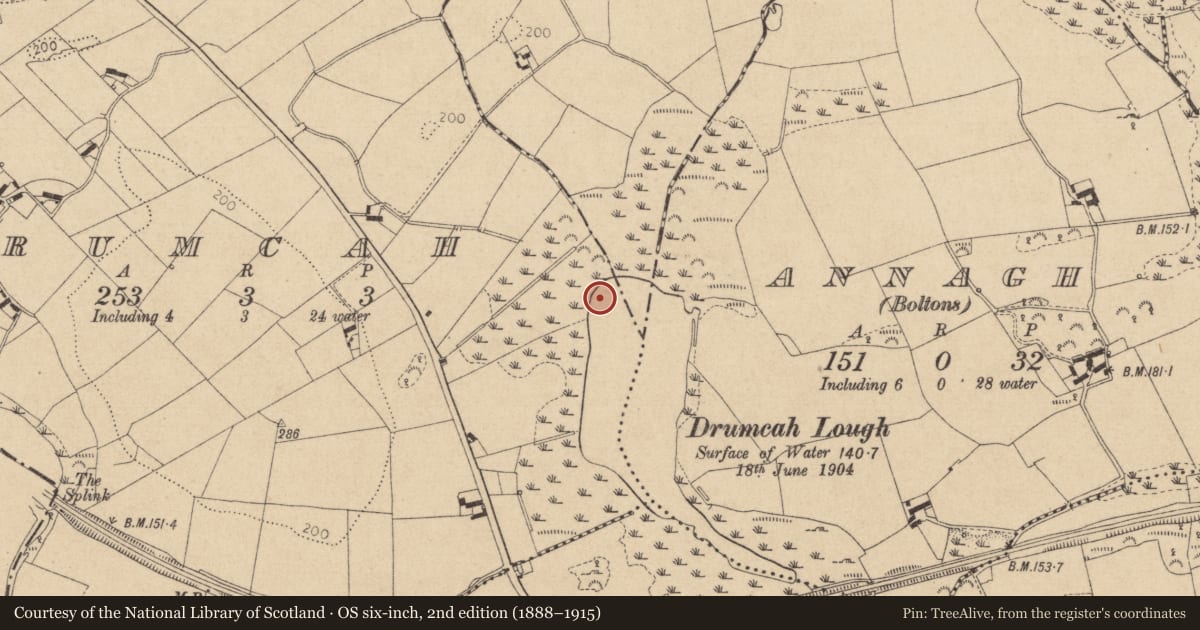 Ordnance Survey six-inch map, 2nd edition (1888–1915) covering the location of Crannog, Drumcah, County Louth, with a pin at the register's coordinates