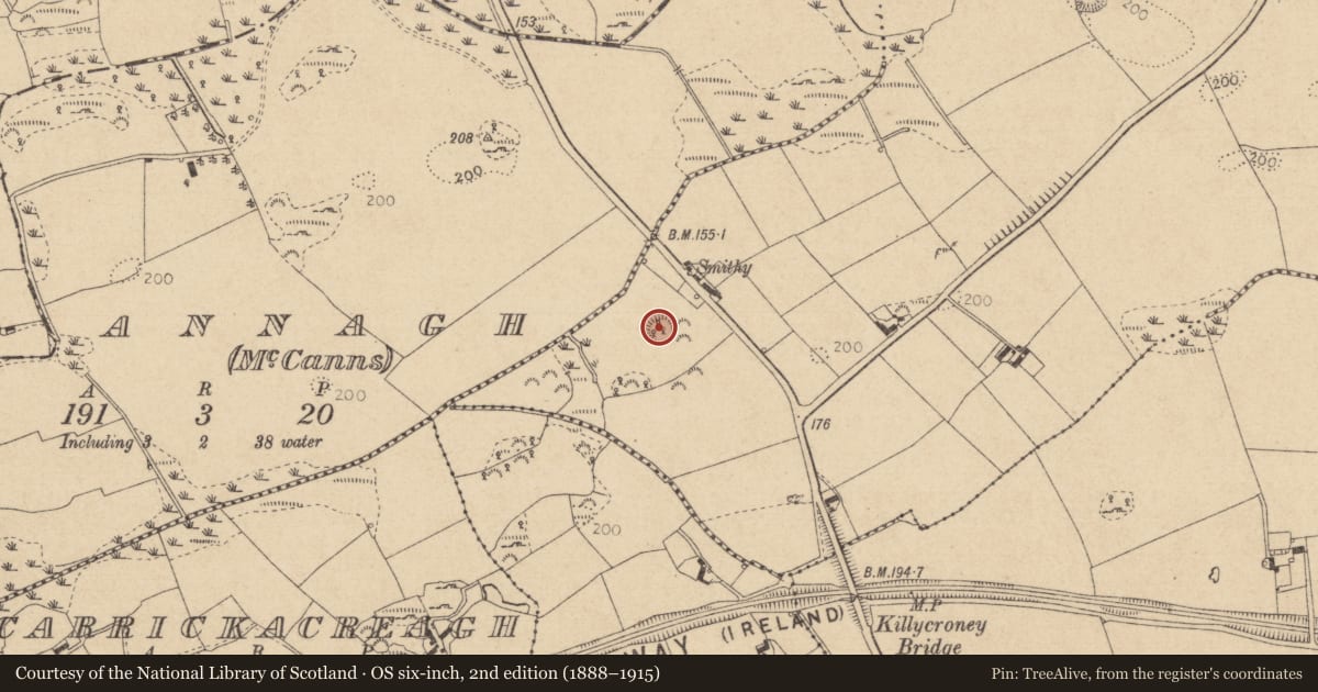 Ordnance Survey six-inch map, 2nd edition (1888–1915) covering the location of Ringfort - rath, Cortial, County Louth, with a pin at the register's coordinates