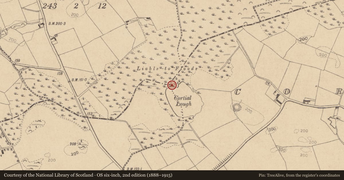 Ordnance Survey six-inch map, 2nd edition (1888–1915) covering the location of Crannog, Cortial, County Louth, with a pin at the register's coordinates