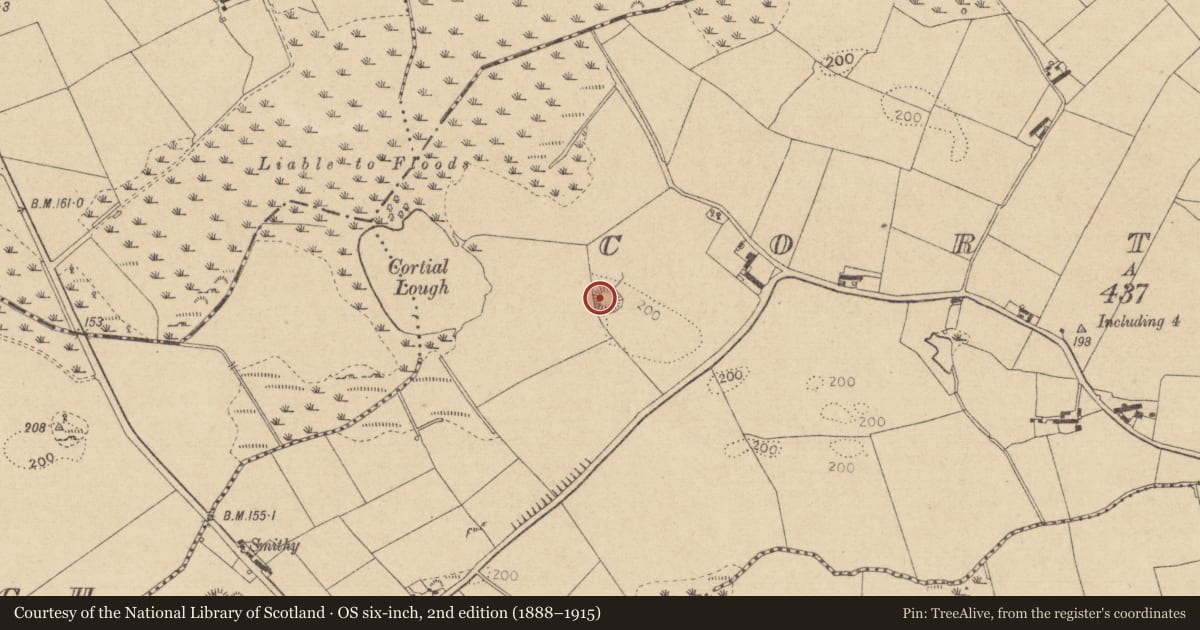 Ordnance Survey six-inch map, 2nd edition (1888–1915) covering the location of Ringfort - rath, Cortial, County Louth, with a pin at the register's coordinates