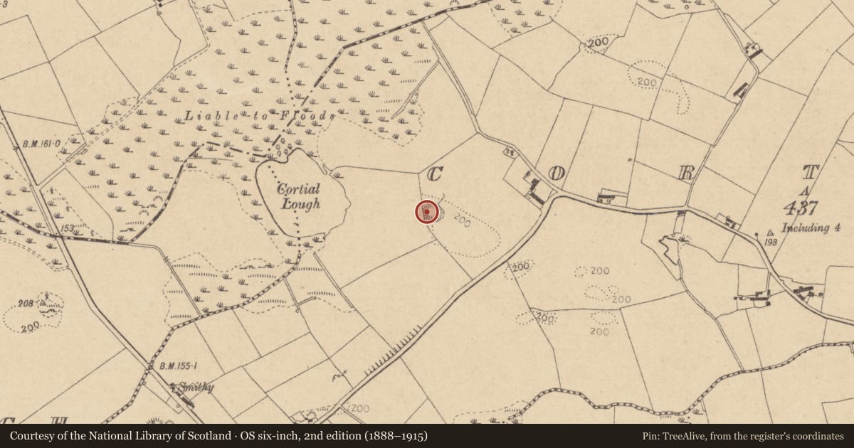 Ordnance Survey six-inch map, 2nd edition (1888–1915) covering the location of Souterrain, Cortial, County Louth, with a pin at the register's coordinates