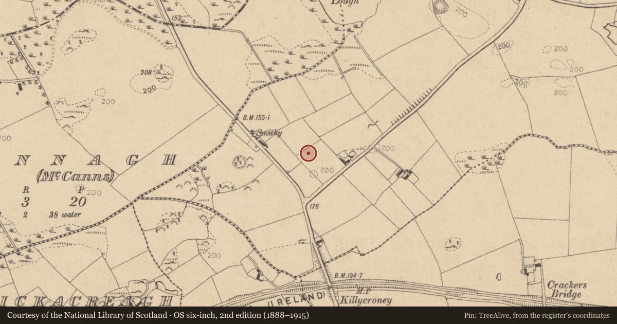 Ordnance Survey six-inch map, 2nd edition (1888–1915) covering the location of Souterrain, Cortial, County Louth, with a pin at the register's coordinates