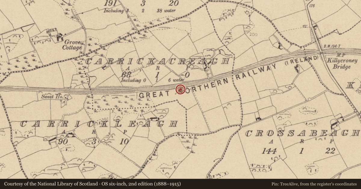 Ordnance Survey six-inch map, 2nd edition (1888–1915) covering the location of Souterrain, Carrickacreagh, County Louth, with a pin at the register's coordinates