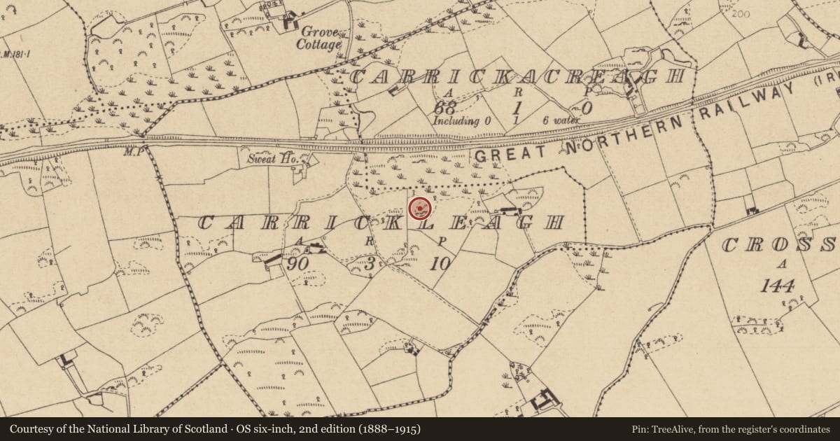 Ordnance Survey six-inch map, 2nd edition (1888–1915) covering the location of Souterrain, Carrickleagh, County Louth, with a pin at the register's coordinates