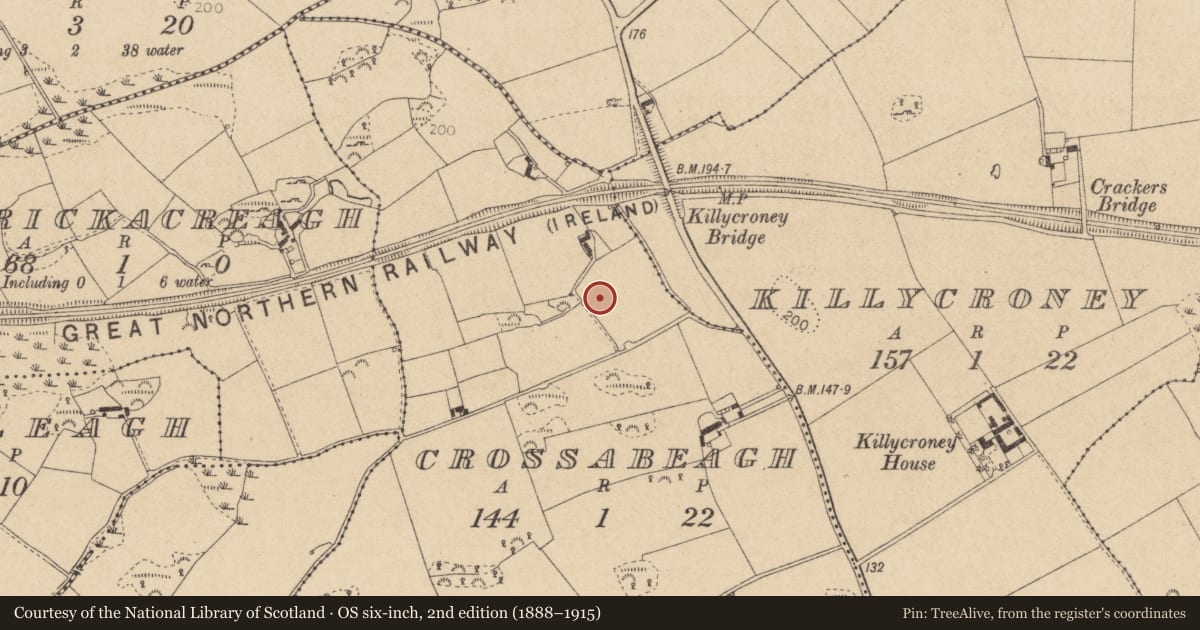 Ordnance Survey six-inch map, 2nd edition (1888–1915) covering the location of Souterrain, Crossabeagh, County Louth, with a pin at the register's coordinates