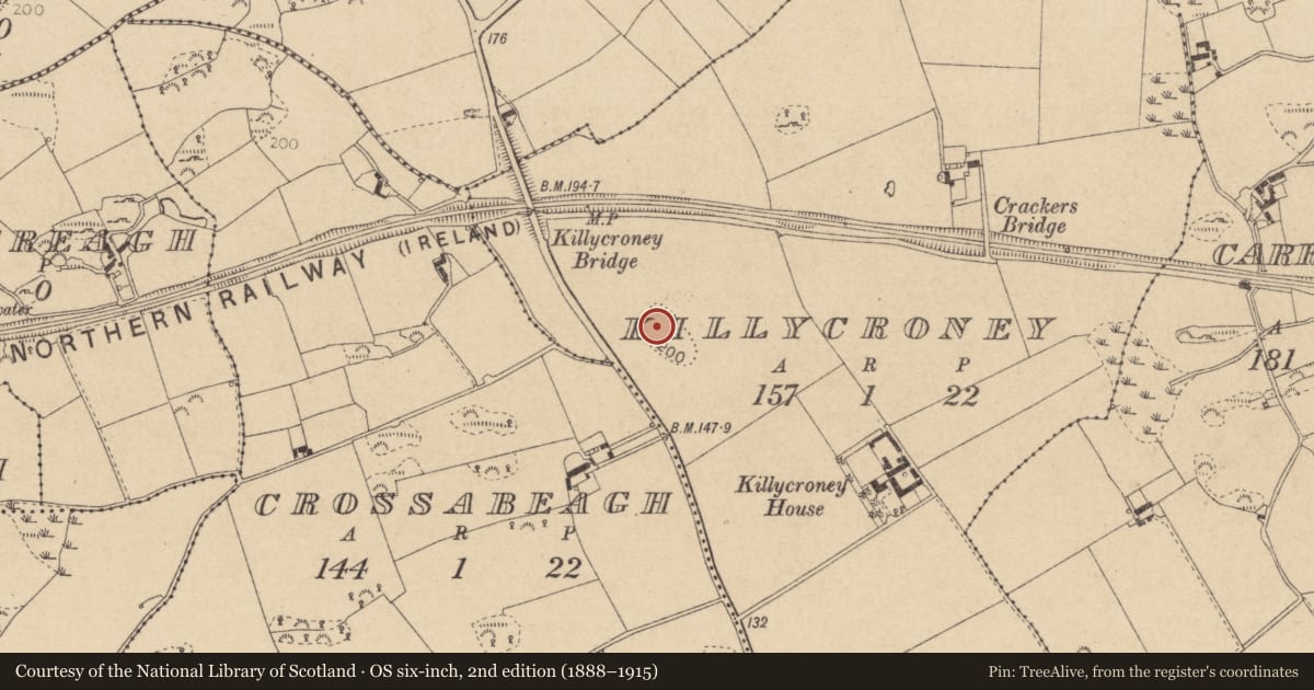 Ordnance Survey six-inch map, 2nd edition (1888–1915) covering the location of Enclosure, Killycroney, County Louth, with a pin at the register's coordinates