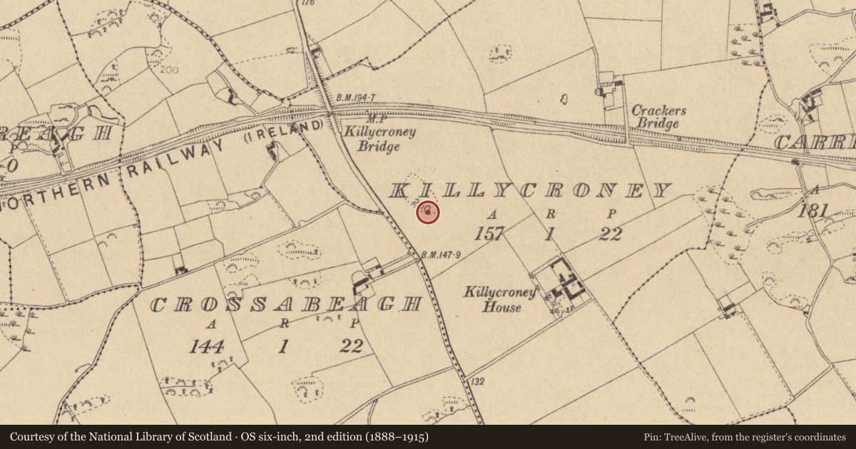Ordnance Survey six-inch map, 2nd edition (1888–1915) covering the location of Linear earthwork, Killycroney, County Louth, with a pin at the register's coordinates