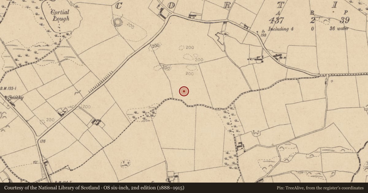 Ordnance Survey six-inch map, 2nd edition (1888–1915) covering the location of Souterrain, Cortial, County Louth, with a pin at the register's coordinates