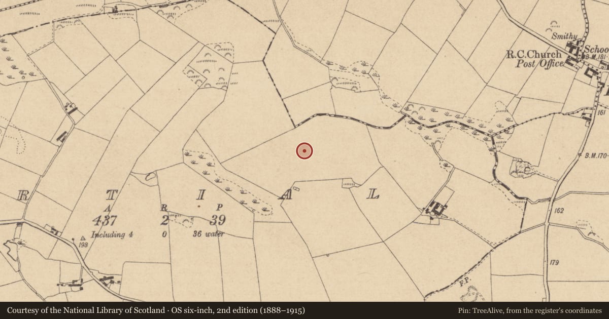 Ordnance Survey six-inch map, 2nd edition (1888–1915) covering the location of Souterrain, Cortial, County Louth, with a pin at the register's coordinates