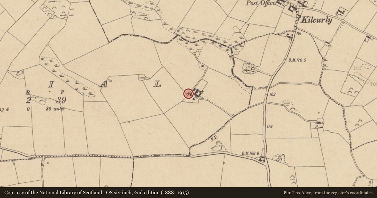 Ordnance Survey six-inch map, 2nd edition (1888–1915) covering the location of Souterrain, Cortial, County Louth, with a pin at the register's coordinates