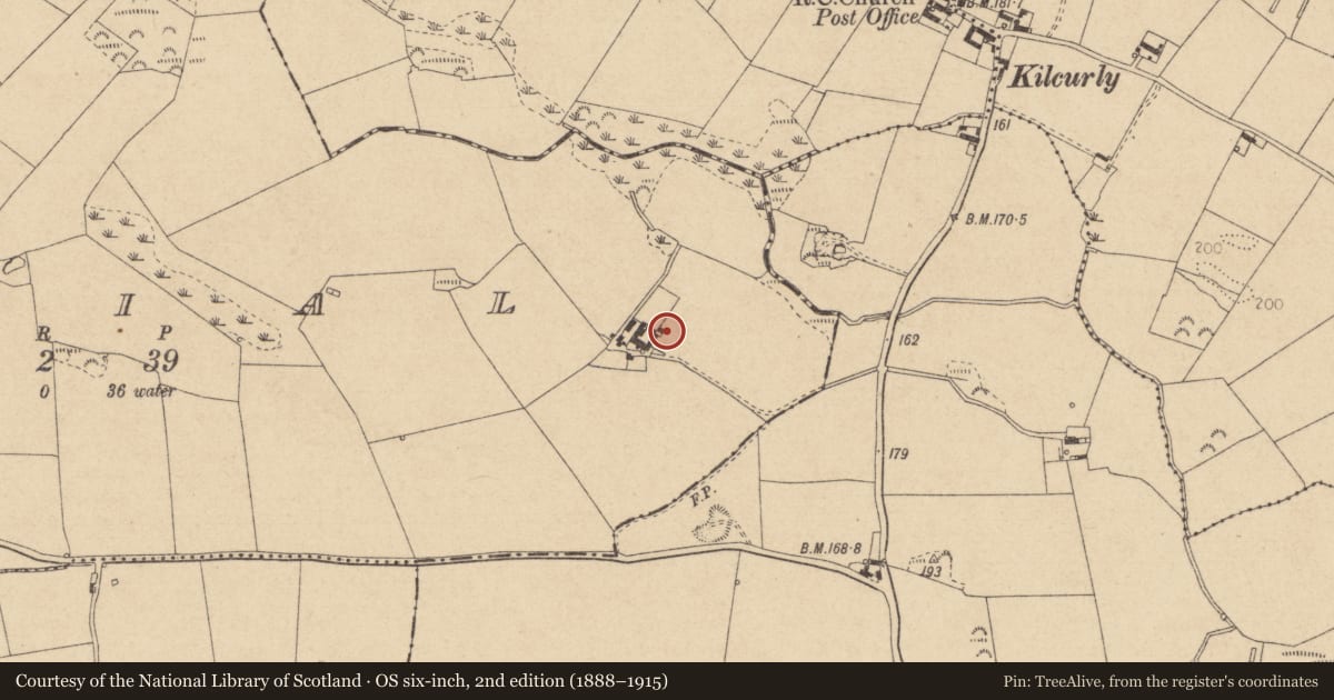 Ordnance Survey six-inch map, 2nd edition (1888–1915) covering the location of Souterrain, Cortial, County Louth, with a pin at the register's coordinates