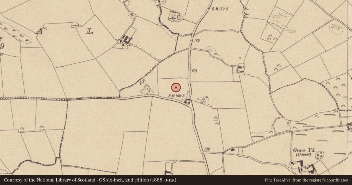 Ordnance Survey six-inch map, 2nd edition (1888–1915) covering the location of Souterrain, Kilcurly, County Louth, with a pin at the register's coordinates