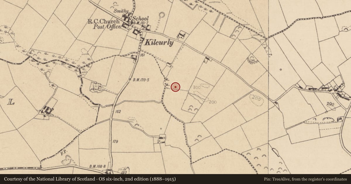Ordnance Survey six-inch map, 2nd edition (1888–1915) covering the location of Souterrain, Donaghmore, County Louth, with a pin at the register's coordinates