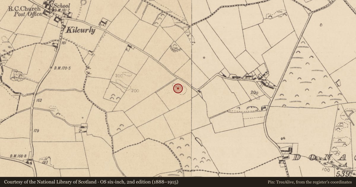 Ordnance Survey six-inch map, 2nd edition (1888–1915) covering the location of Enclosure, Donaghmore, County Louth, with a pin at the register's coordinates