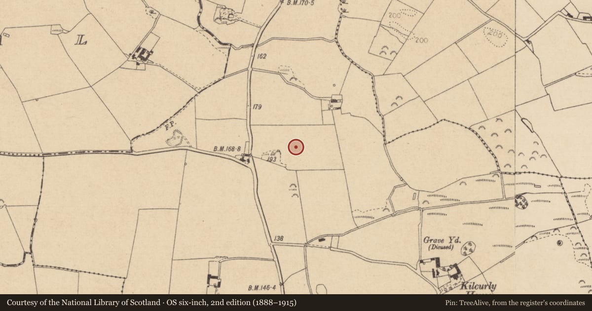 Ordnance Survey six-inch map, 2nd edition (1888–1915) covering the location of Souterrain, Kilcurly, County Louth, with a pin at the register's coordinates