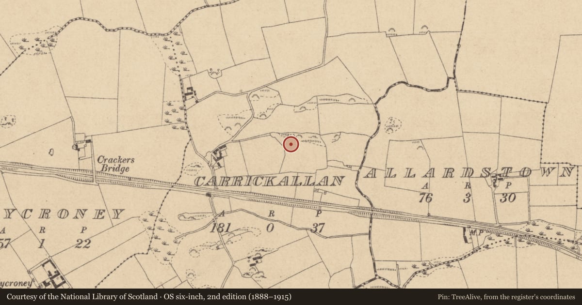 Ordnance Survey six-inch map, 2nd edition (1888–1915) covering the location of Souterrain, Carrickallan, County Louth, with a pin at the register's coordinates