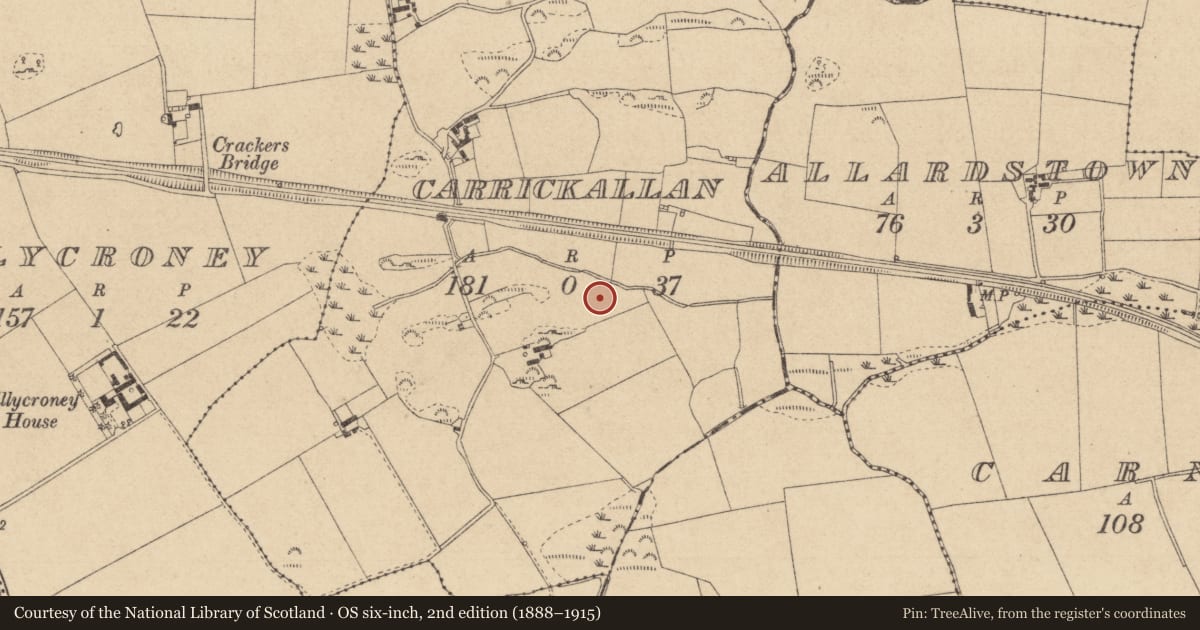 Ordnance Survey six-inch map, 2nd edition (1888–1915) covering the location of Souterrain, Carrickallan, County Louth, with a pin at the register's coordinates