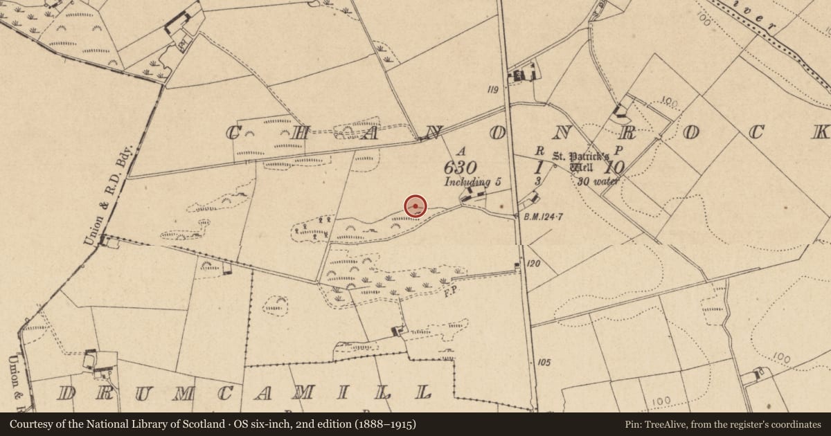 Ordnance Survey six-inch map, 2nd edition (1888–1915) covering the location of Windmill, Chanonrock, County Louth, with a pin at the register's coordinates