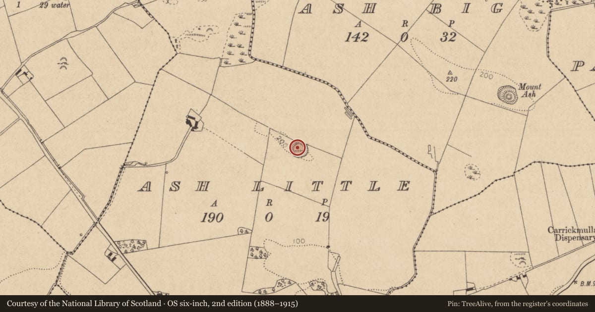 Ordnance Survey six-inch map, 2nd edition (1888–1915) covering the location of Souterrain, Ash Little, County Louth, with a pin at the register's coordinates