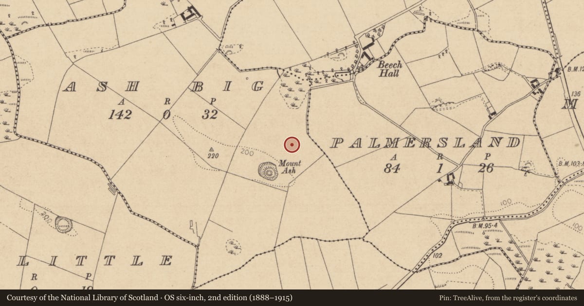 Ordnance Survey six-inch map, 2nd edition (1888–1915) covering the location of Souterrain, Ash Big, County Louth, with a pin at the register's coordinates