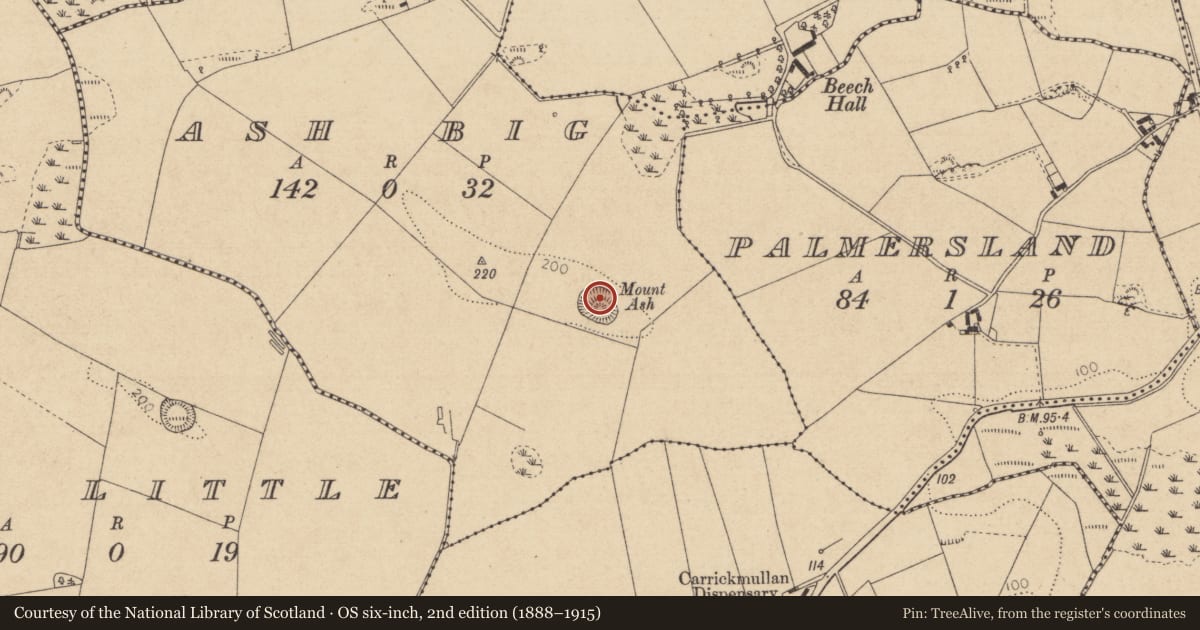 Ordnance Survey six-inch map, 2nd edition (1888–1915) covering the location of Castle - motte, Ash Big, County Louth, with a pin at the register's coordinates