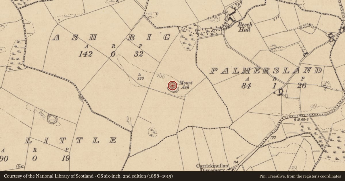 Ordnance Survey six-inch map, 2nd edition (1888–1915) covering the location of Souterrain, Ash Big, County Louth, with a pin at the register's coordinates