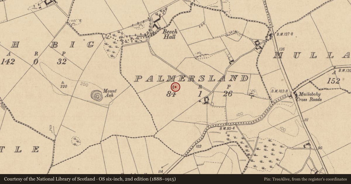 Ordnance Survey six-inch map, 2nd edition (1888–1915) covering the location of Souterrain, Palmersland, County Louth, with a pin at the register's coordinates