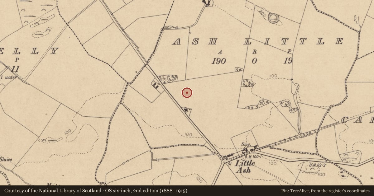 Ordnance Survey six-inch map, 2nd edition (1888–1915) covering the location of Standing stone, Ash Little, County Louth, with a pin at the register's coordinates