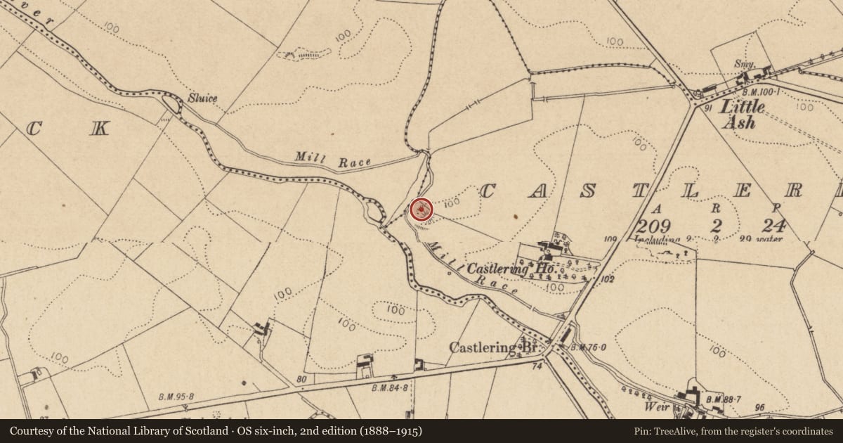 Ordnance Survey six-inch map, 2nd edition (1888–1915) covering the location of Castle - motte and bailey, Castlering, County Louth, with a pin at the register's coordinates
