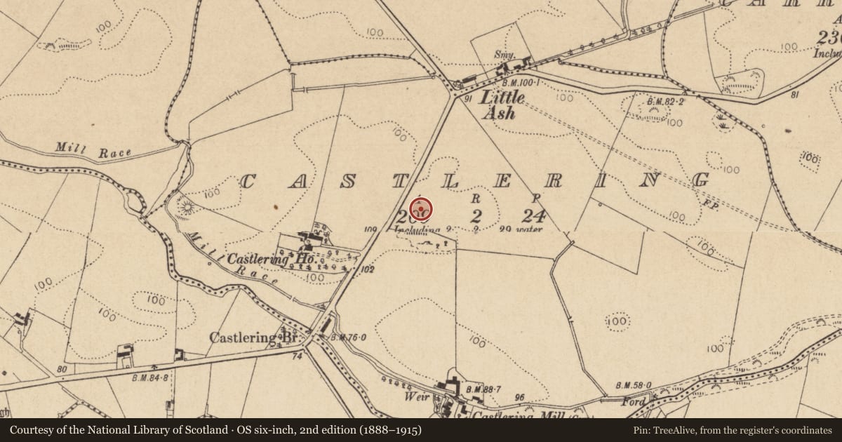 Ordnance Survey six-inch map, 2nd edition (1888–1915) covering the location of Standing stone, Castlering, County Louth, with a pin at the register's coordinates
