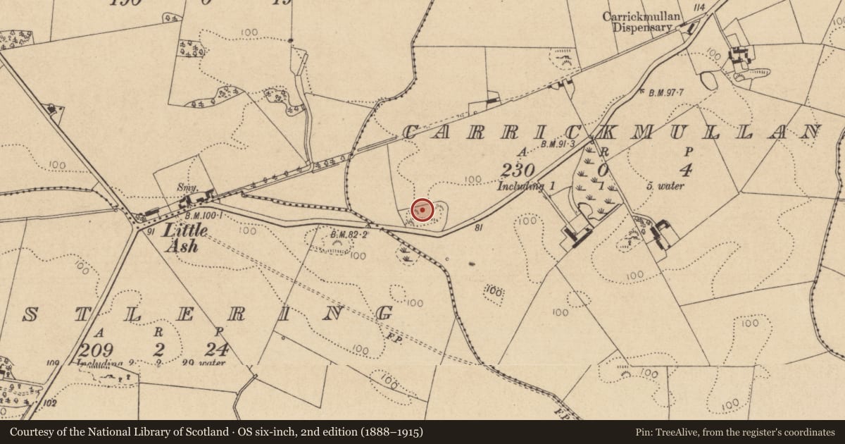 Ordnance Survey six-inch map, 2nd edition (1888–1915) covering the location of Burial ground, Carrickmullan, County Louth, with a pin at the register's coordinates